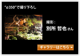 g350hŎB艺낵
ʏN炳M[͂