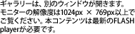 ʂ̃EBhEJ܂Bj^[̉𑜓x1024px ~ 768pxȏłB{Rec͍ŐVFLASH PlayerKvłB
