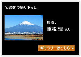 g350hŎB艺낵
dM[͂