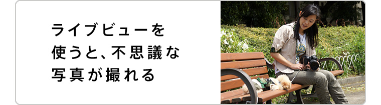 ���C�u�r���[���g���ƁA�s�v�c�Ȏʐ^���B���