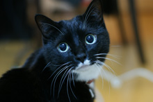 �œ_����: 50mm / F�l: 2.0 / �V���b�^�[���x:1/8�b