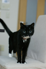 �œ_����: 50mm / F�l: 2.0 / �V���b�^�[���x:1/13�b