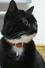 �œ_����: 50mm / F�l: 5.6 / �V���b�^�[���x:1/1.7�b