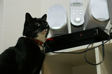 �œ_����: 50mm / F�l: 2.0 / �V���b�^�[���x:1/30�b