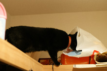 �œ_����: 50mm / F�l: 2.0 / �V���b�^�[���x:1/30�b