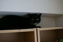 �œ_����: 22mm / F�l: 4.0 / �V���b�^�[���x:1/40�b