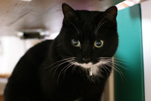 �œ_����: 50mm / F�l: 2.0 / �V���b�^�[���x:1/3�b