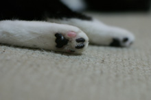 �œ_����: 50mm / F�l: 2.0 / �V���b�^�[���x:1/40�b