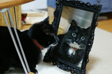 �œ_����: 50mm / F�l: 2.0 / �V���b�^�[���x:1/10�b