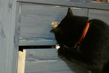 �œ_����: 50mm / F�l: 2.0 / �V���b�^�[���x:1/15�b