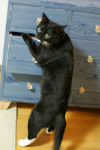 �œ_����: 50mm / F�l: 2.0 / �V���b�^�[���x:1/6�b