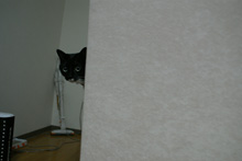 �œ_����: 20mm / F�l: 4.0 / �V���b�^�[���x:1/10�b