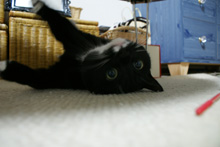 �œ_����: 18mm / F�l: 3.5 / �V���b�^�[���x:1/2.5�b