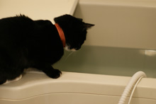 �œ_����: 50mm / F�l: 2.0 / �V���b�^�[���x:1/40�b