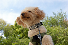 �œ_����: 35mm / F�l: 10.0 / �V���b�^�[���x:1/100�b