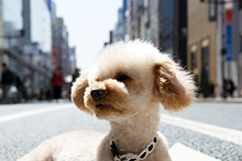 �œ_����: 60mm / F�l: 9.0 / �V���b�^�[���x:1/125�b