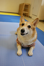 �œ_����: 20mm / F�l: 4.0 / �V���b�^�[���x:1/100�b