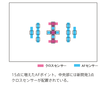 15_ɑAF|CgBɂ͐VJ3_NXZT[zuĂB