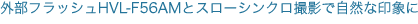 �O���t���b�V��HVL-56AM�ƃX���[�V���N���B�e�Ŏ��R�Ȉ�ۂ�