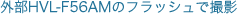�O��HVL-F56AM�̃t���b�V���ŎB�e