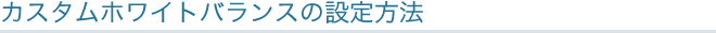 �J�X�^���z���C�g�o�����X�̐ݒ���@
