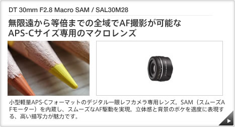 DT 30mm F2.8 Macro SAM / SAL30M28 ｜ 無限遠から等倍までの全域でAF撮影が可能なAPS-Cサイズ専用のマクロレンズ ｜ 小型軽量APS-Cフォーマットのデジタル一眼レフカメラ専用レンズ。SAM（スムーズAFモーター）を内蔵し、スムーズなAF駆動を実現。立体感と背景のボケを適度に表現する、高い描写力が魅力です。