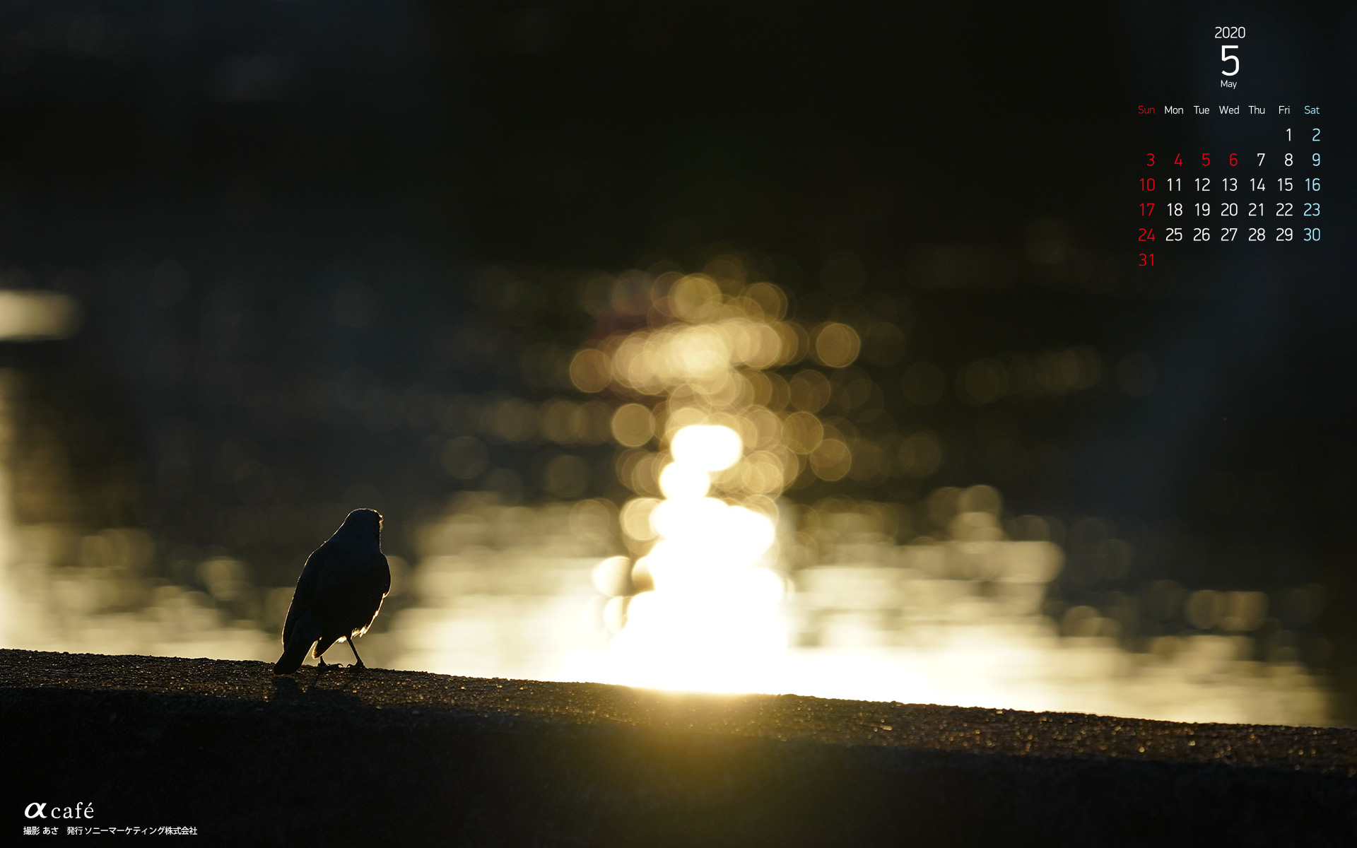 Jongeres 印刷可能無料 今月 の 壁紙