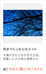 �����������V���G�b�g