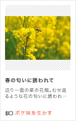 �t�̓����ɗU����