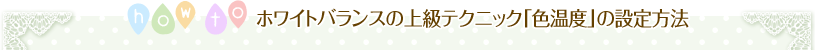 ホワイトバランスの上級テクニック「色温度」の設定方法
