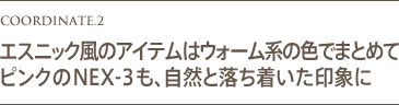 COORDINATE.2�@�G�X�j�b�N���̃A�C�e���̓E�H�[���n�̐F�ł܂Ƃ߂ăs���N��NEX-3���A���R�Ɨ�����������ۂ�