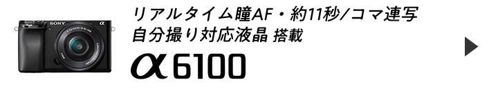 リアルタイム瞳AF・約11秒/コマ連写 自分撮り対応液晶 搭載 a6100