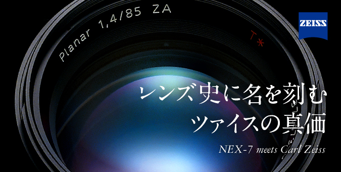 �����Y�j�ɖ������ރc�@�C�X�̐^��