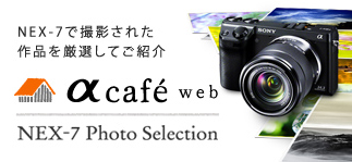 �� cafe web NEX-7 Photo Selection