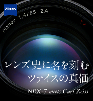 �����Y�j�ɖ������ރc�@�C�X�̐^��