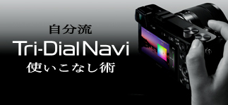 �������g���C�_�C�����i�r�g�����Ȃ��p