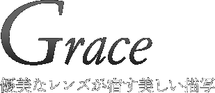 �D���ȃ����Y���h���������`��