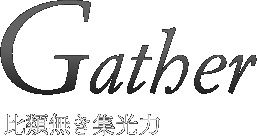 ��ޖ����W����