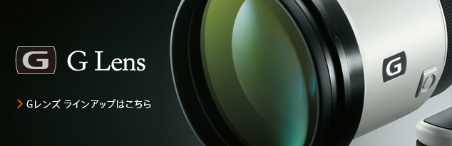 G�����Y ���C���A�b�v�͂�����