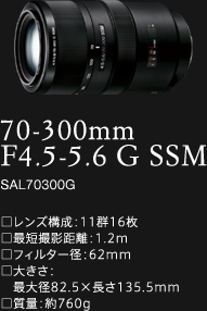 70-300mm F4.5-5.6 G SSM SAL70300G