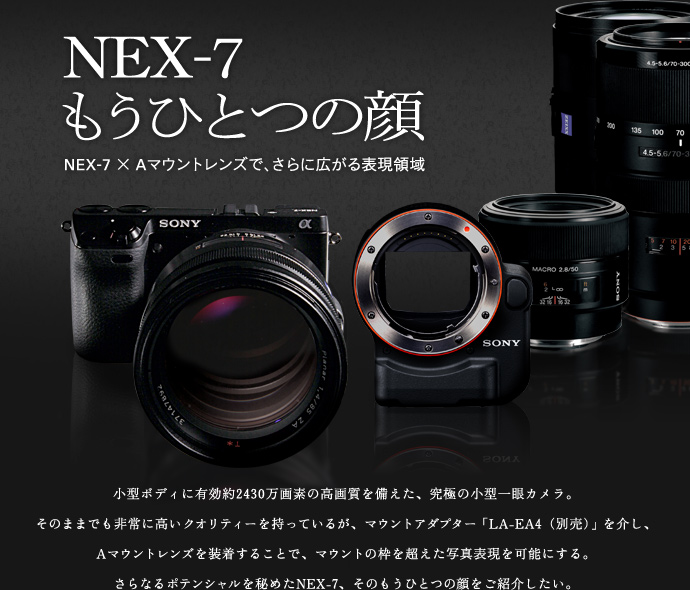 NEX-7 ЂƂ̊