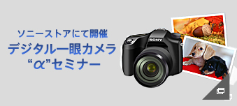 �f�W�^�����J���� �g���h�Z�~�i�[