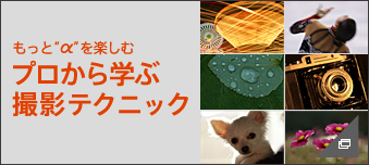 �v������w�ԎB�e�e�N�j�b�N