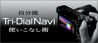 ������ Tri-Dial Navi�g�����Ȃ��p