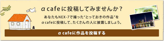 �� cafe�ɍ�i�𓊍e����