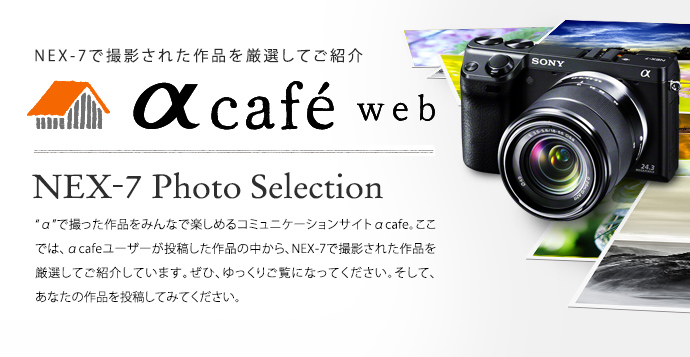 �� cafe web NEX-7�ŎB�e���ꂽ��i�����I���Ă��Љ�