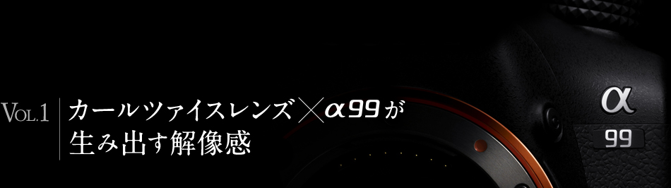 Vol.1 �J�[���c�@�C�X�����Y �~ ��99�����ݏo���𑜊�