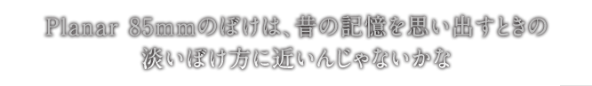 Planar 85mm�̂ڂ��́A�̂̋L�����v���o���Ƃ��̒W���ڂ����ɋ߂��񂶂�Ȃ�����