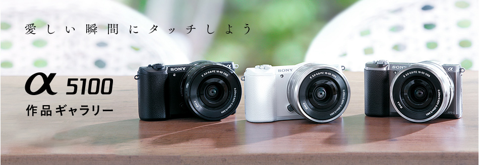 ��5100��i�M�������[