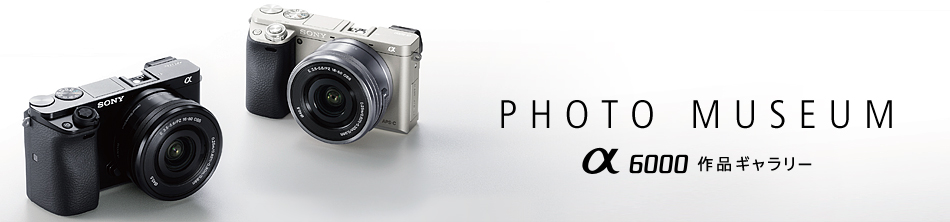 ��6000��i�M�������[